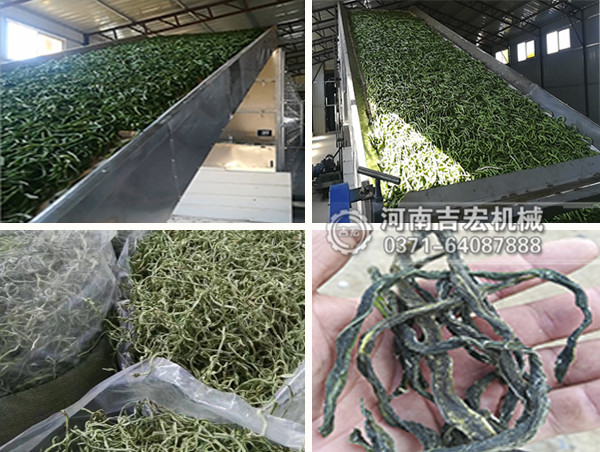 豆角烘干機(jī)_小型龍豆角烘干機(jī)價格_大型長豇豆干燥機(jī)設(shè)備廠家